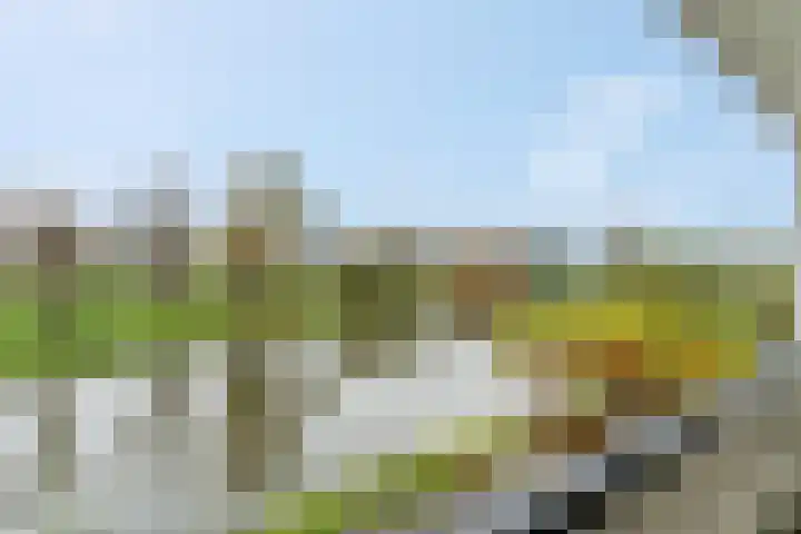 Blokland 21 Huissen thumbnail 41