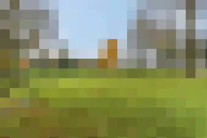 Blokland 21 Huissen thumbnail 47