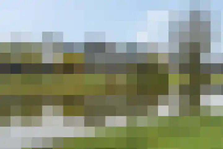 Blokland 21 Huissen thumbnail 50
