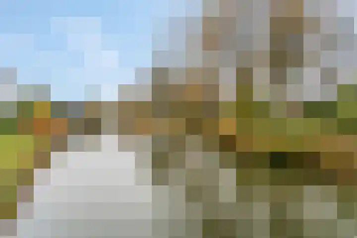 Blokland 21 Huissen thumbnail 54