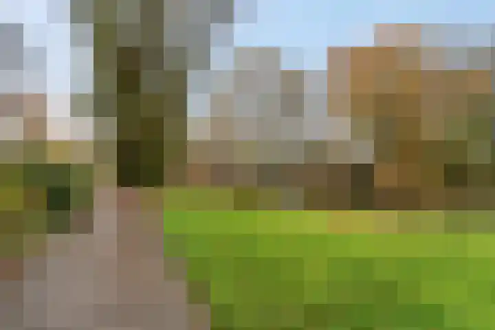Blokland 21 Huissen thumbnail 55