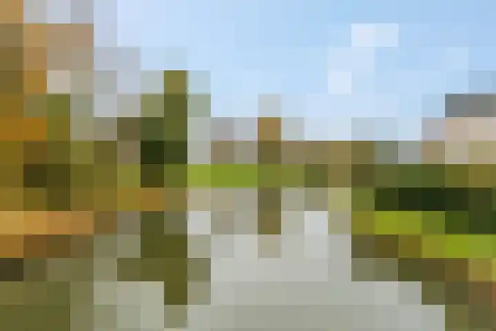 Blokland 21 Huissen thumbnail 56