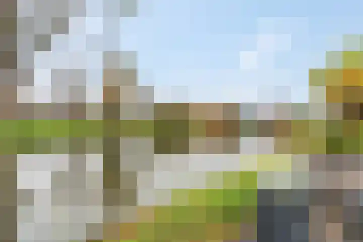Blokland 21 Huissen thumbnail 57