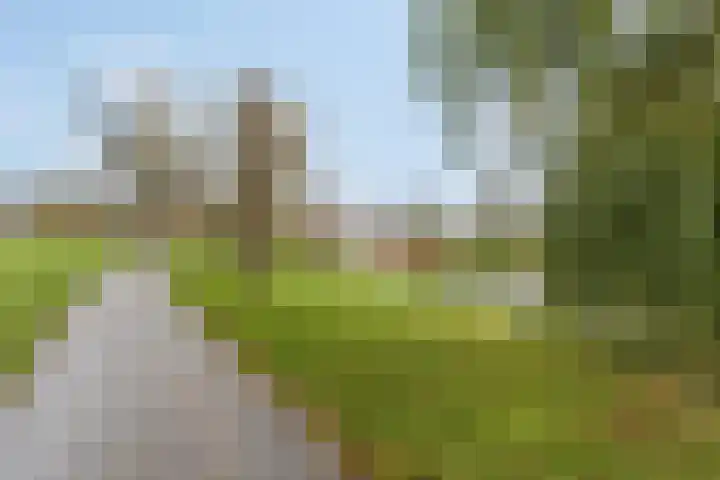 Blokland 21 Huissen thumbnail 58
