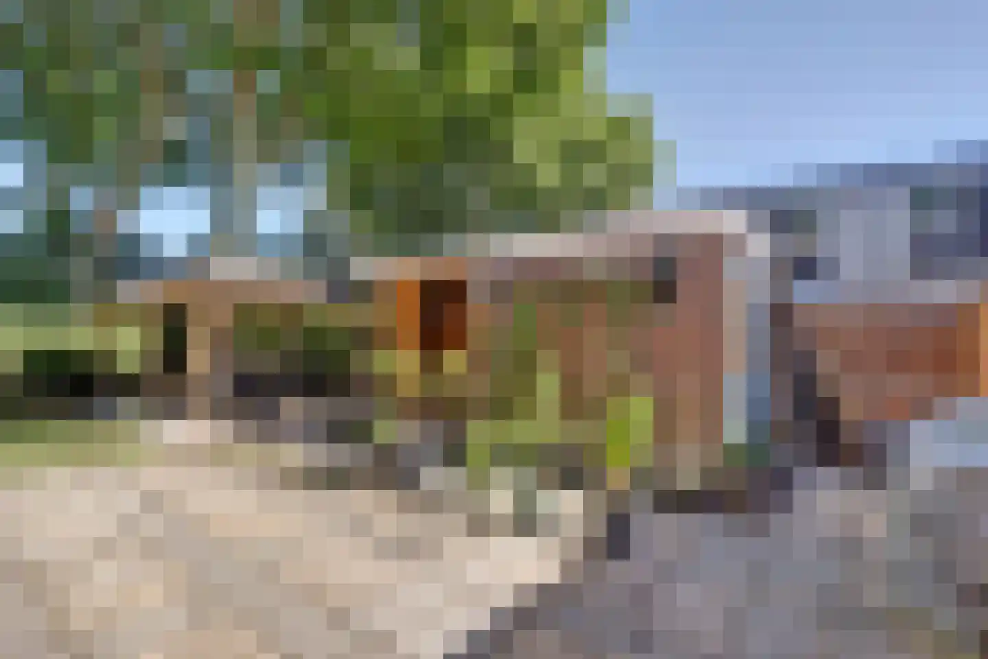 Blokland 42 Rotterdam thumbnail 23