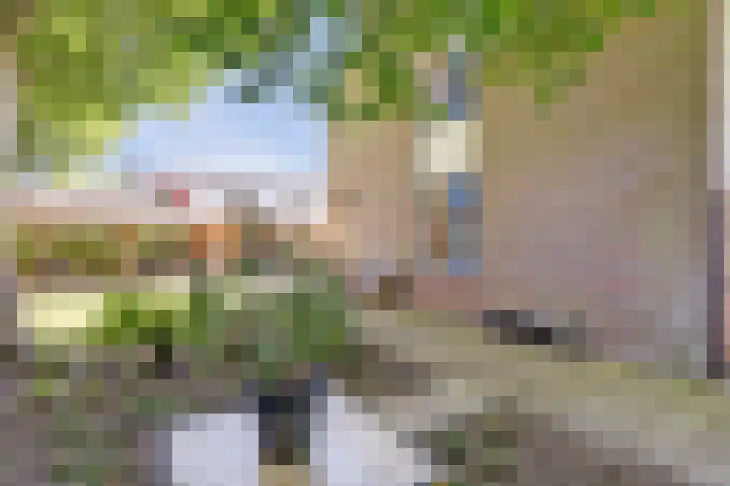 Blokland 42 Rotterdam thumbnail 27