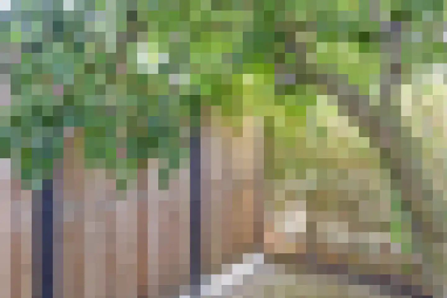Blokland 42 Rotterdam thumbnail 31