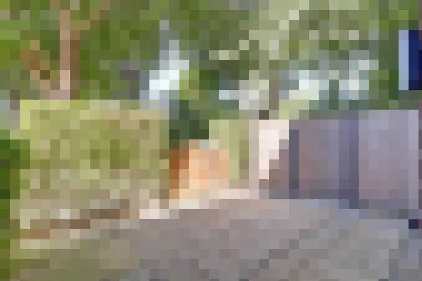 Blokland 42 Rotterdam thumbnail 32