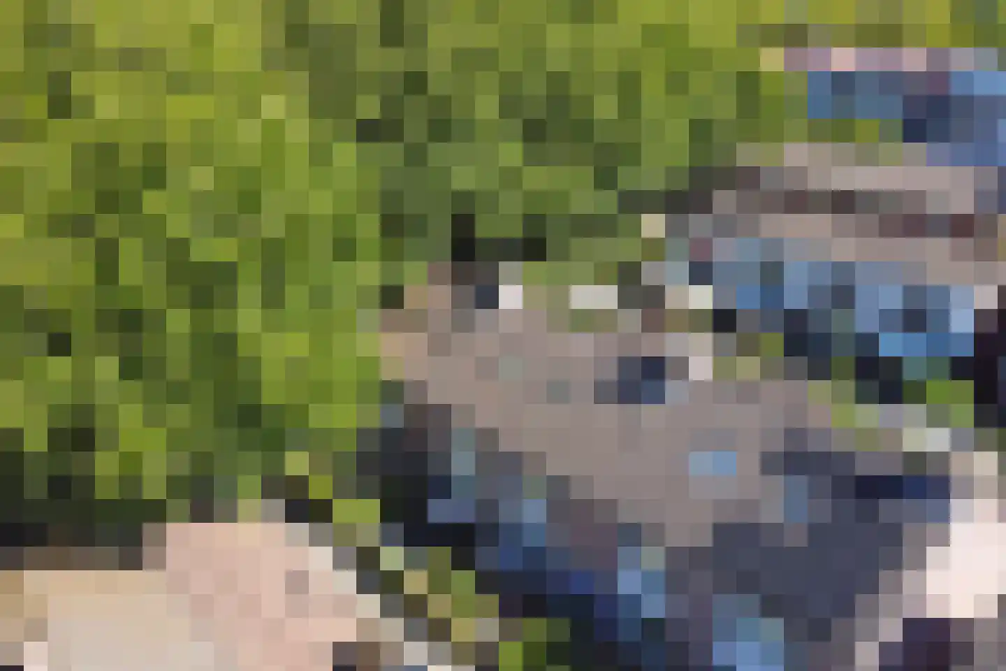 Blokland 42 Rotterdam thumbnail 36