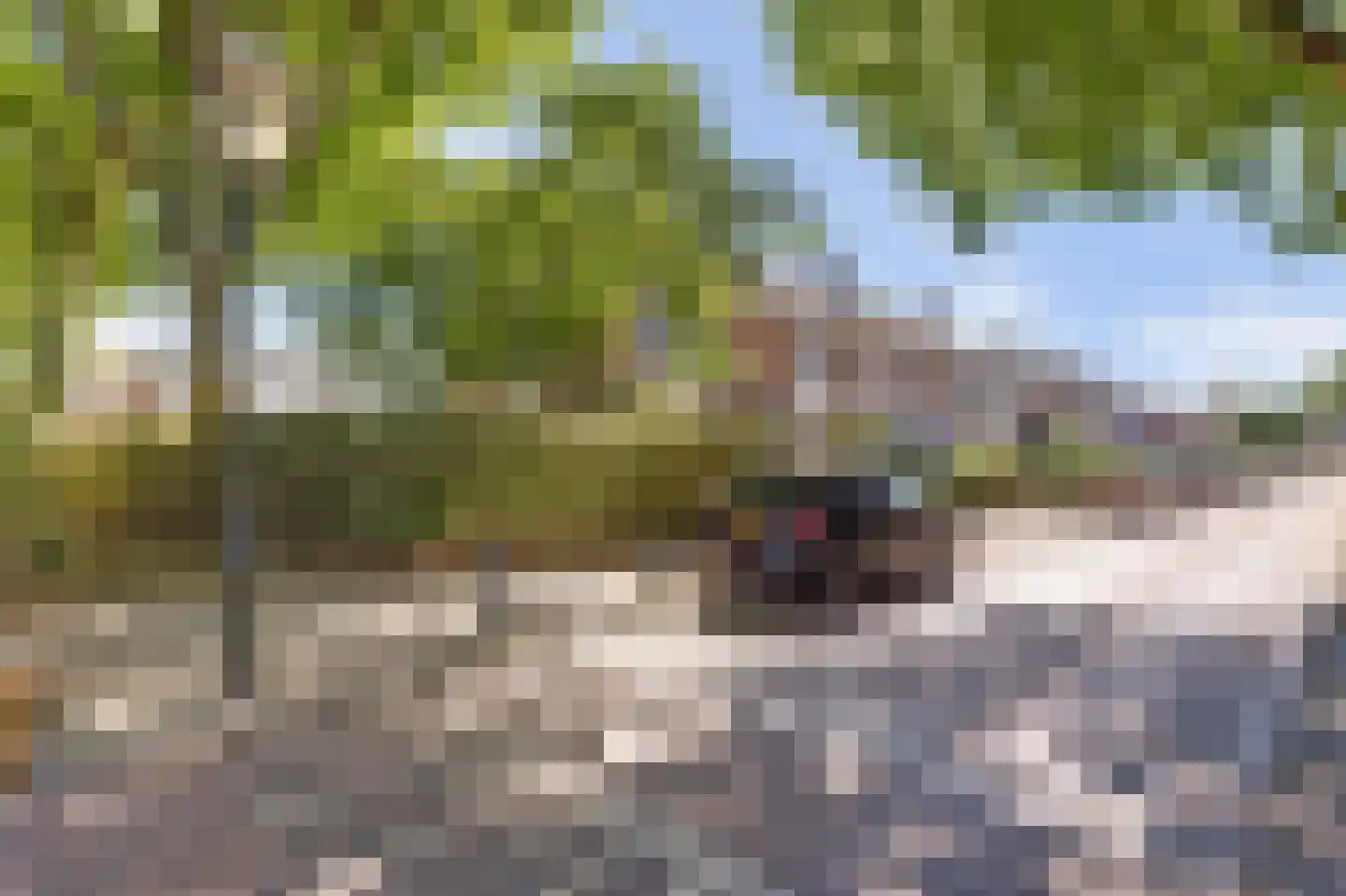 Blokland 42 Rotterdam thumbnail 38
