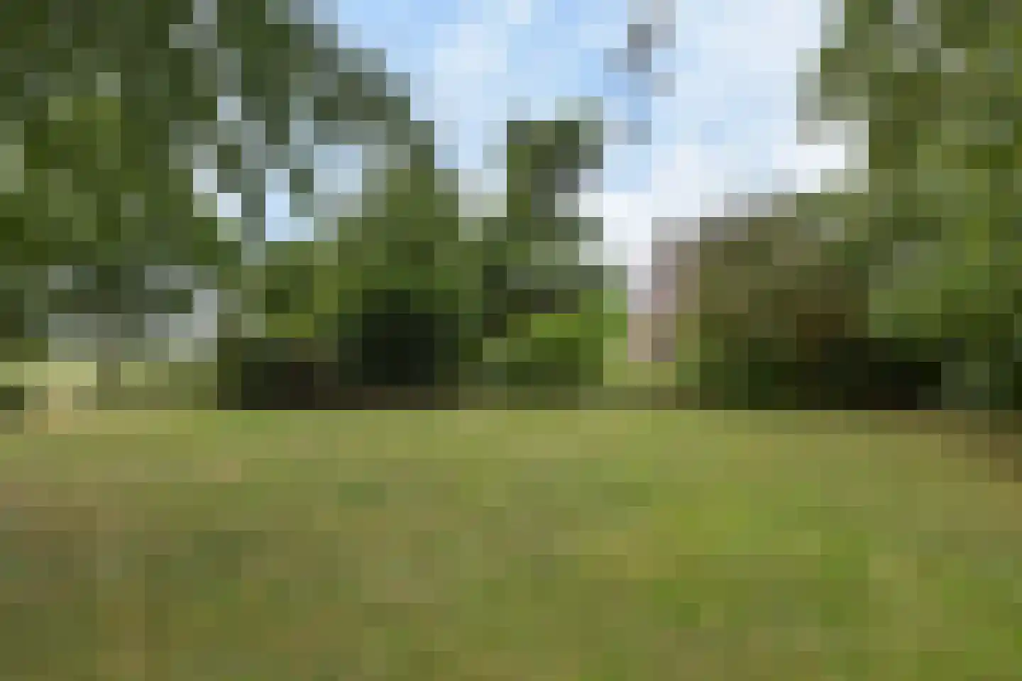 Blokland 43 Nieuwveen thumbnail 42