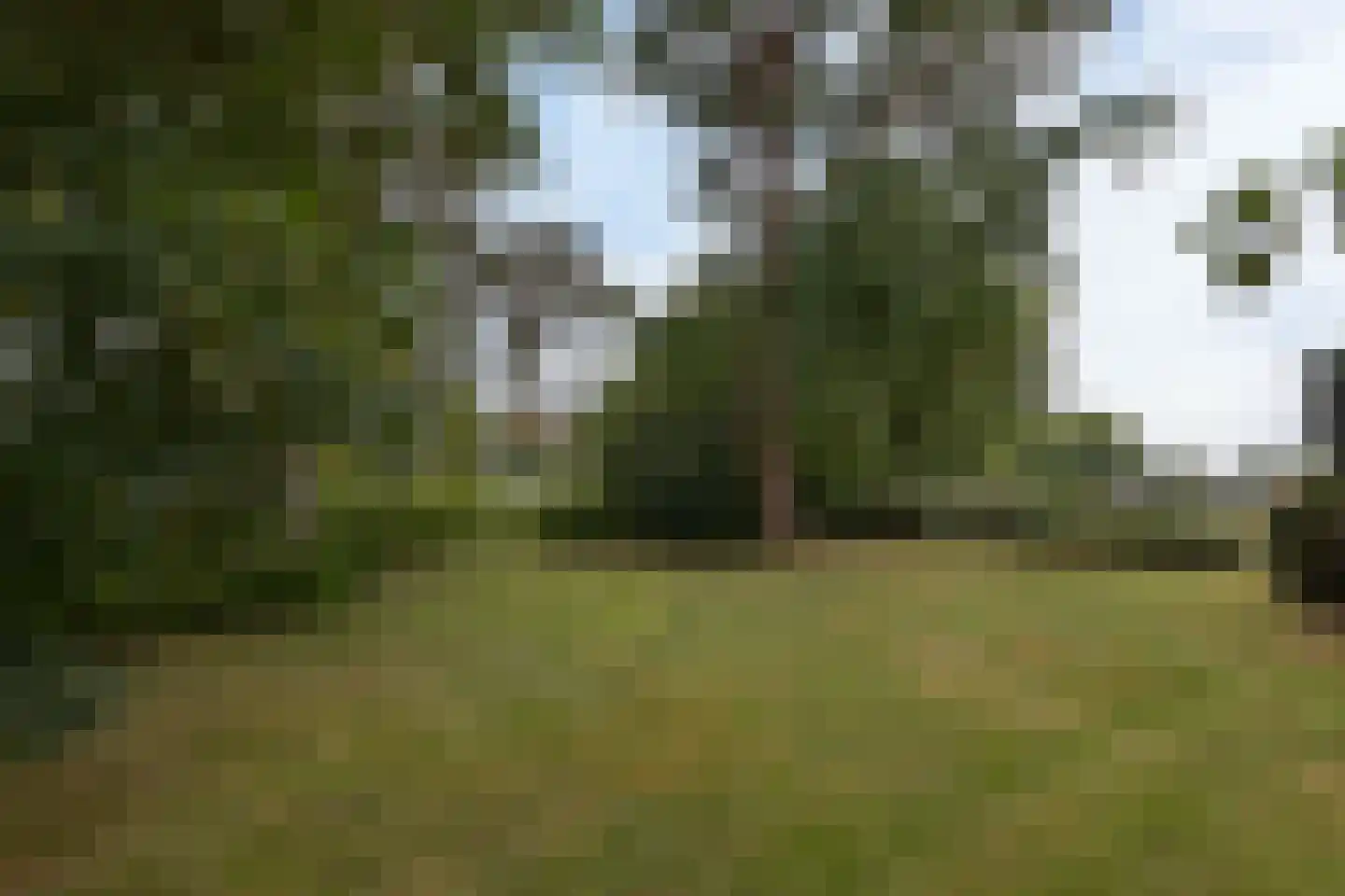 Blokland 43 Nieuwveen thumbnail 43