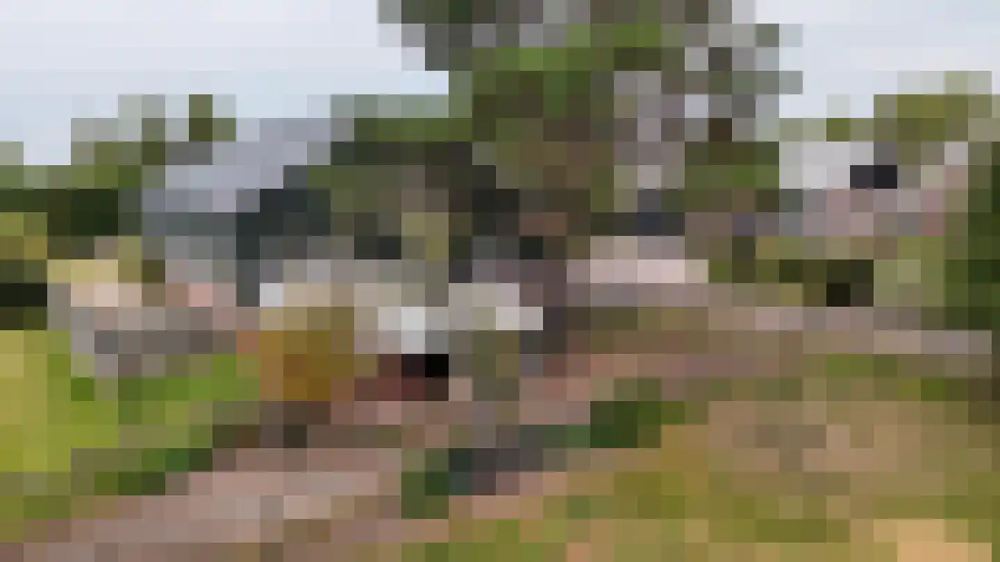 Blokland 43 Nieuwveen thumbnail 45
