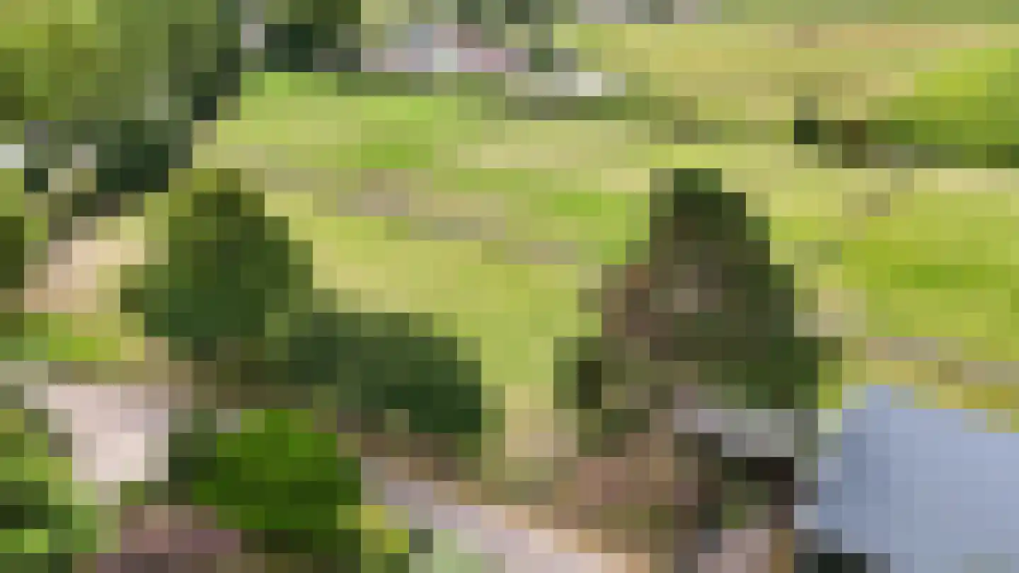Blokland 43 Nieuwveen thumbnail 54