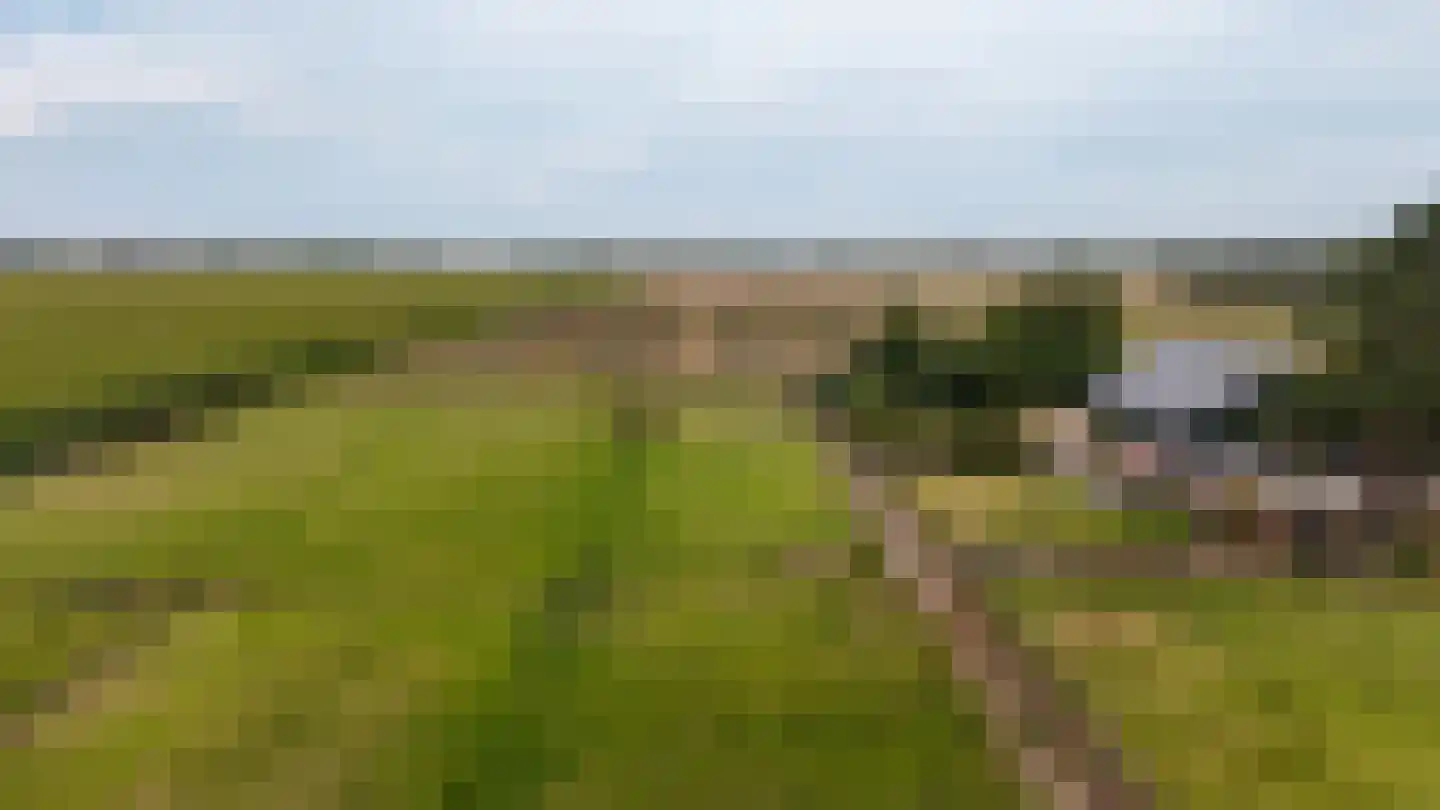 Blokland 43 Nieuwveen thumbnail 55