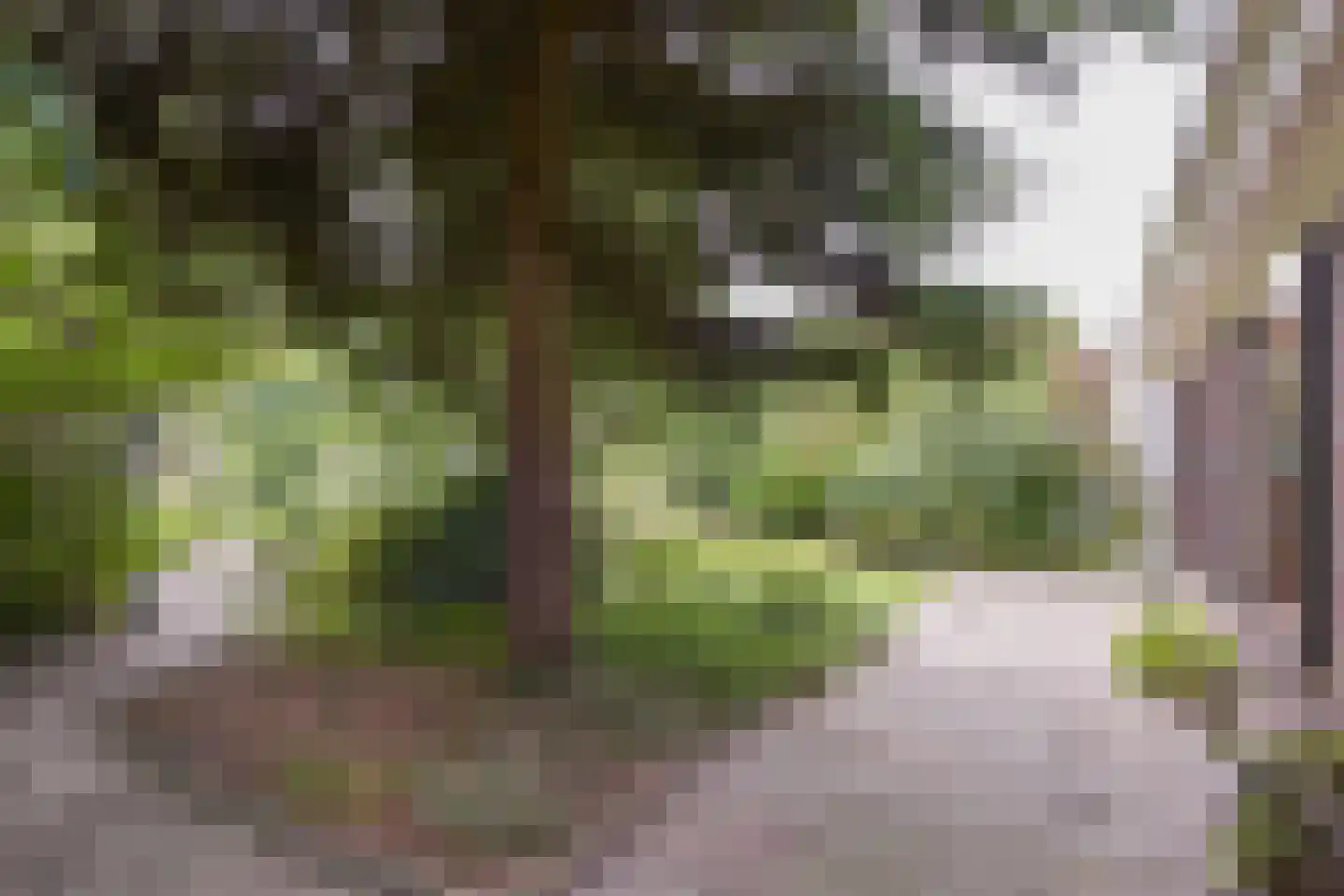 Blokland 43 Nieuwveen thumbnail 6