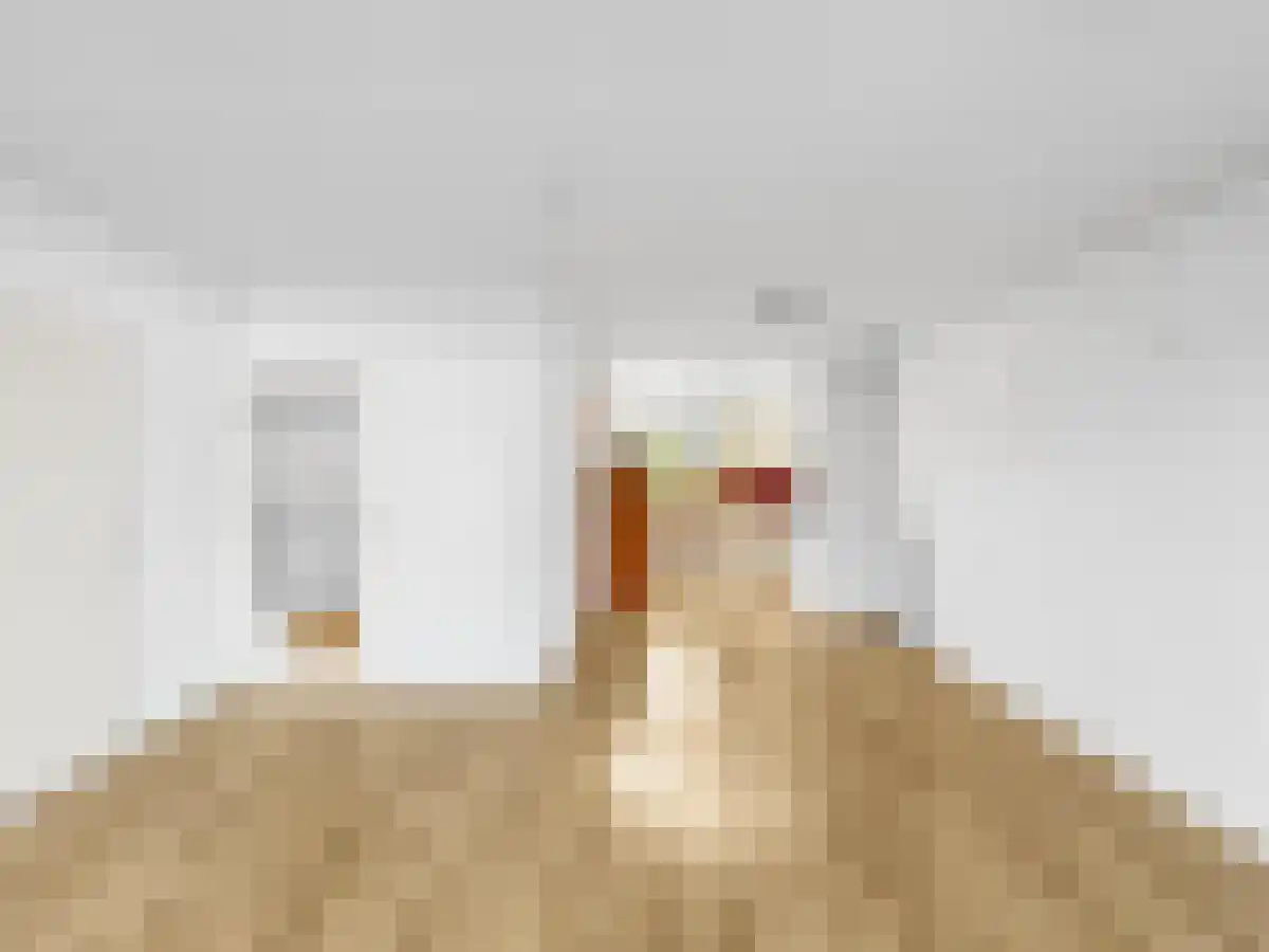 Blokland 51 Weesp thumbnail 5