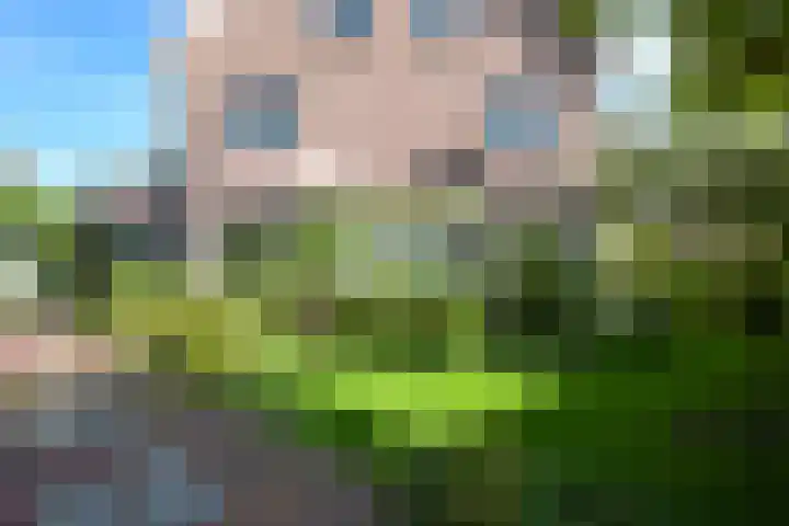 Bloklandenplein 13 Den Haag thumbnail 52