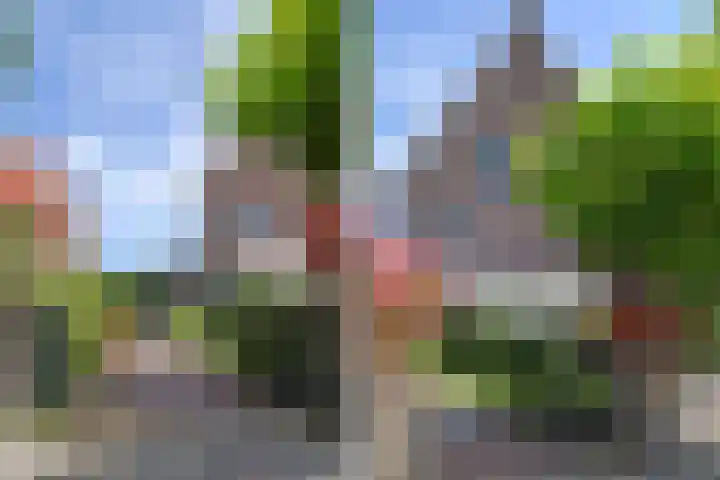 Bloklandenplein 13 Den Haag thumbnail 53