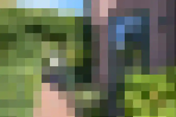 Bloklandenplein 13 Den Haag thumbnail 7