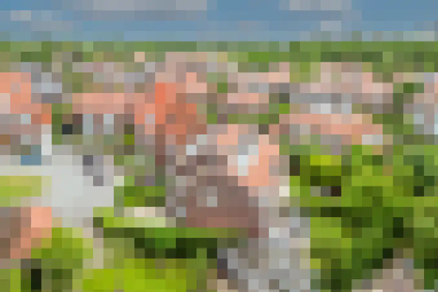 Bloklandenplein 3 Den Haag thumbnail 37