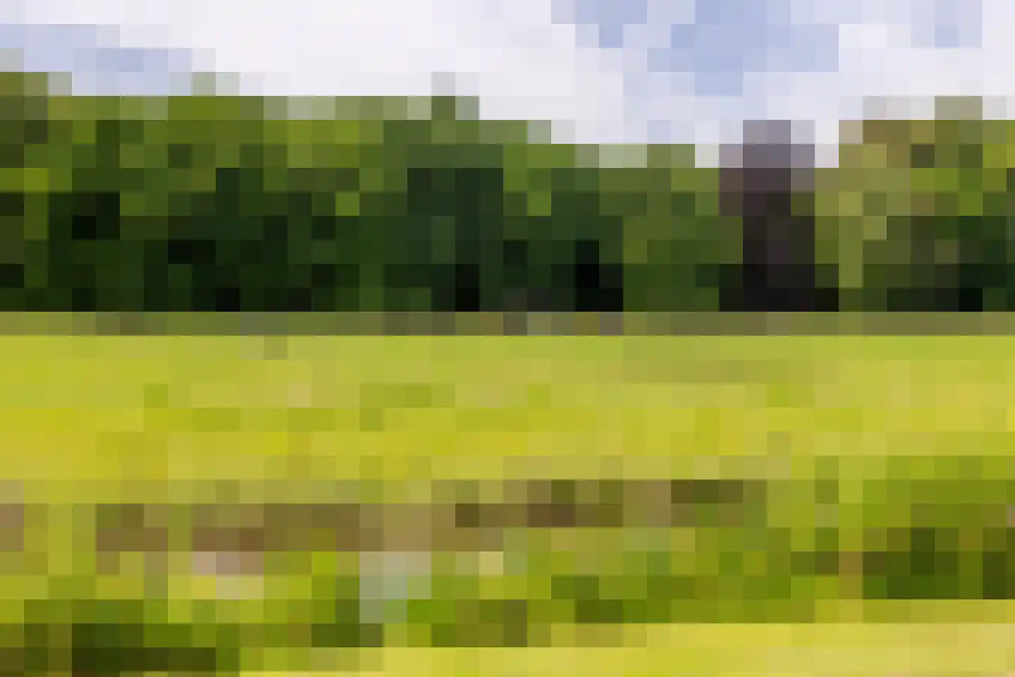 Bloklandenplein 3 Den Haag thumbnail 42