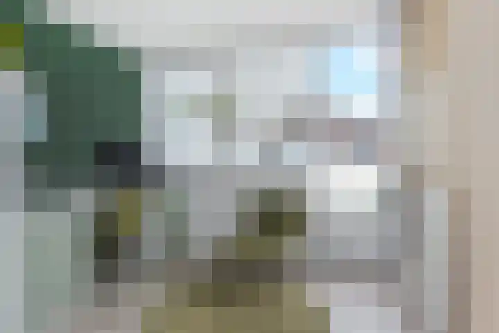 Bloklandpolderstraat 7 Gouda thumbnail 23