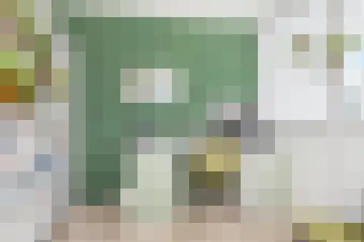 Bloklandpolderstraat 7 Gouda thumbnail 24