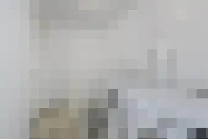 Bloklandpolderstraat 7 Gouda thumbnail 31