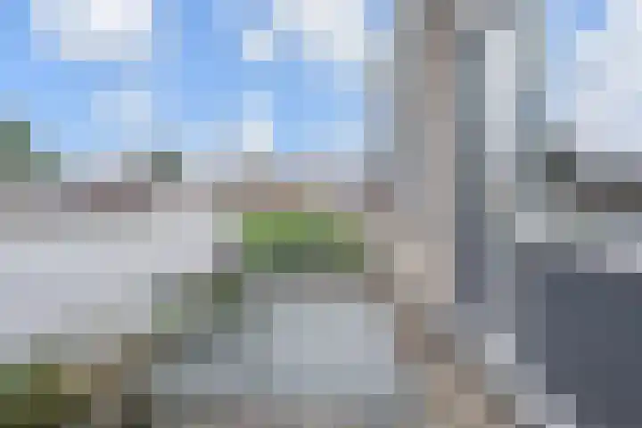 Bloklandpolderstraat 7 Gouda thumbnail 38