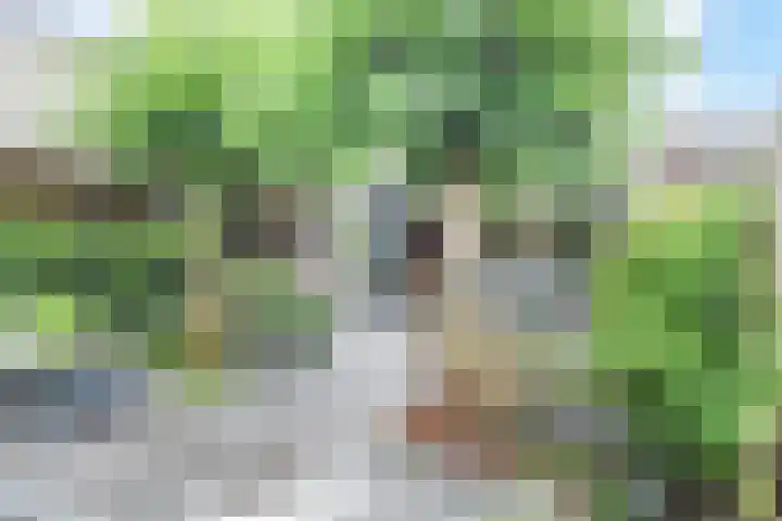 Bloklandpolderstraat 7 Gouda thumbnail 39