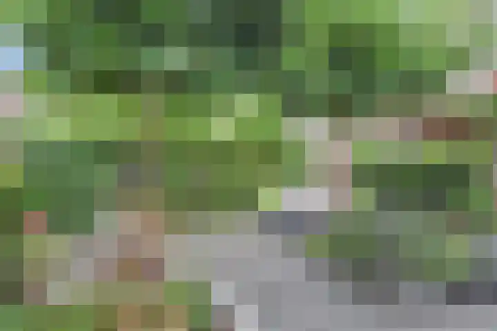 Bloklandpolderstraat 7 Gouda thumbnail 4