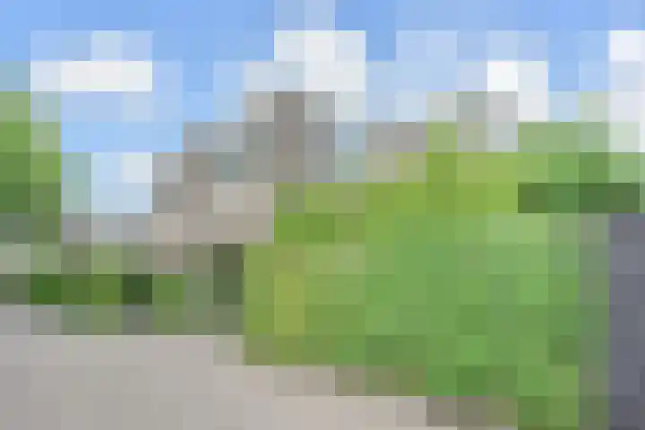 Bloklandpolderstraat 7 Gouda thumbnail 50