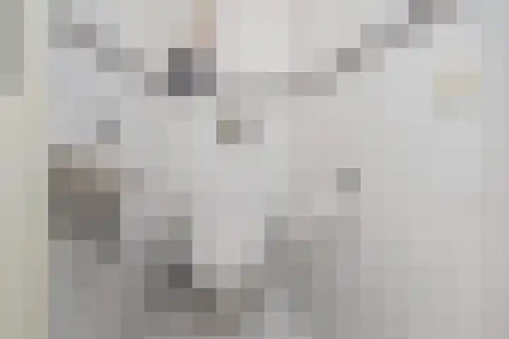 Bloklandpolderstraat 7 Gouda thumbnail 9