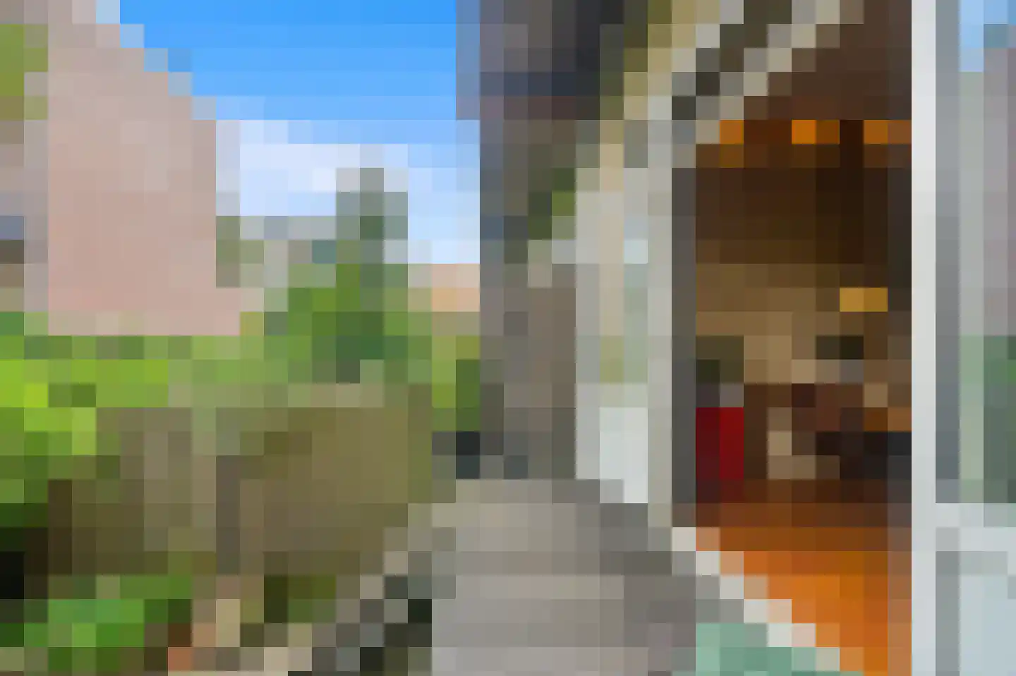 Bloklandstraat 76 B Rotterdam thumbnail 17