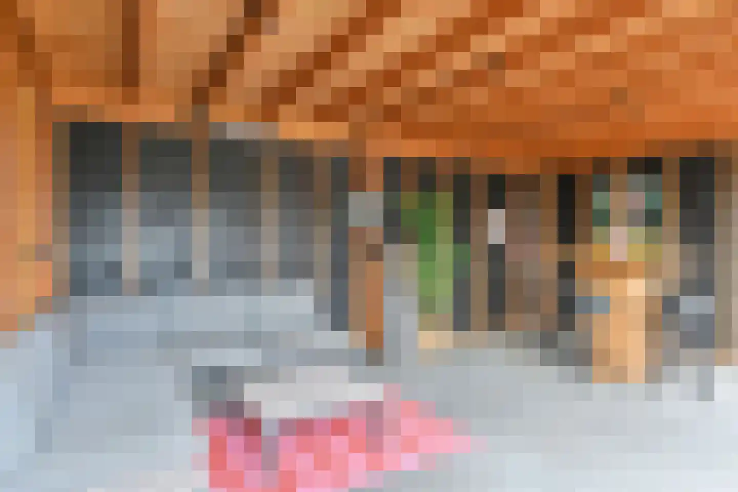 Bloklandweg 13 Noordscheschut thumbnail 41