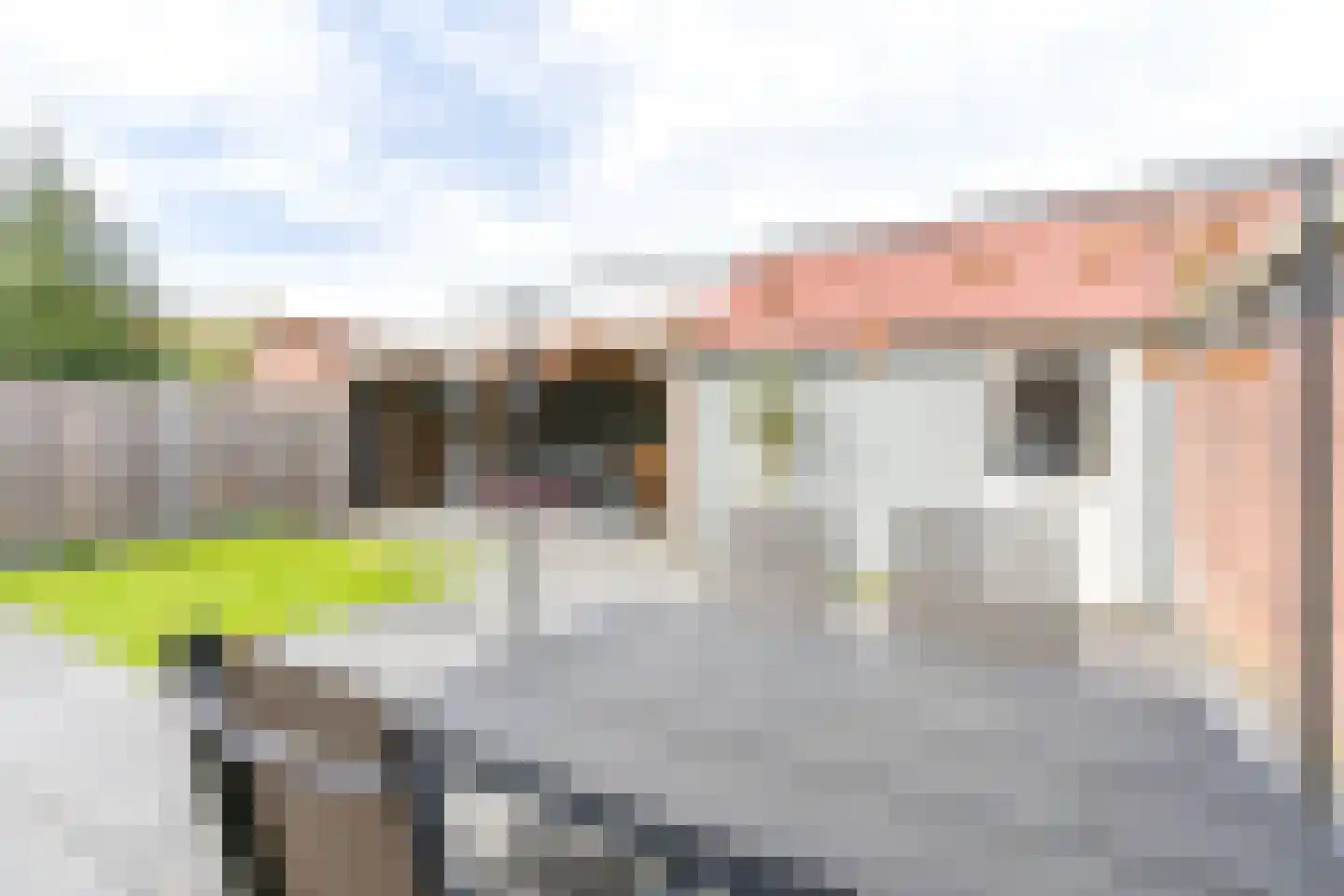 Bloklandweg 13 Noordscheschut thumbnail 45