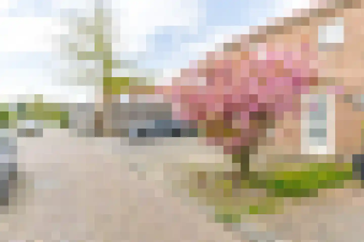 Bloklandweg 13 Noordscheschut thumbnail 48