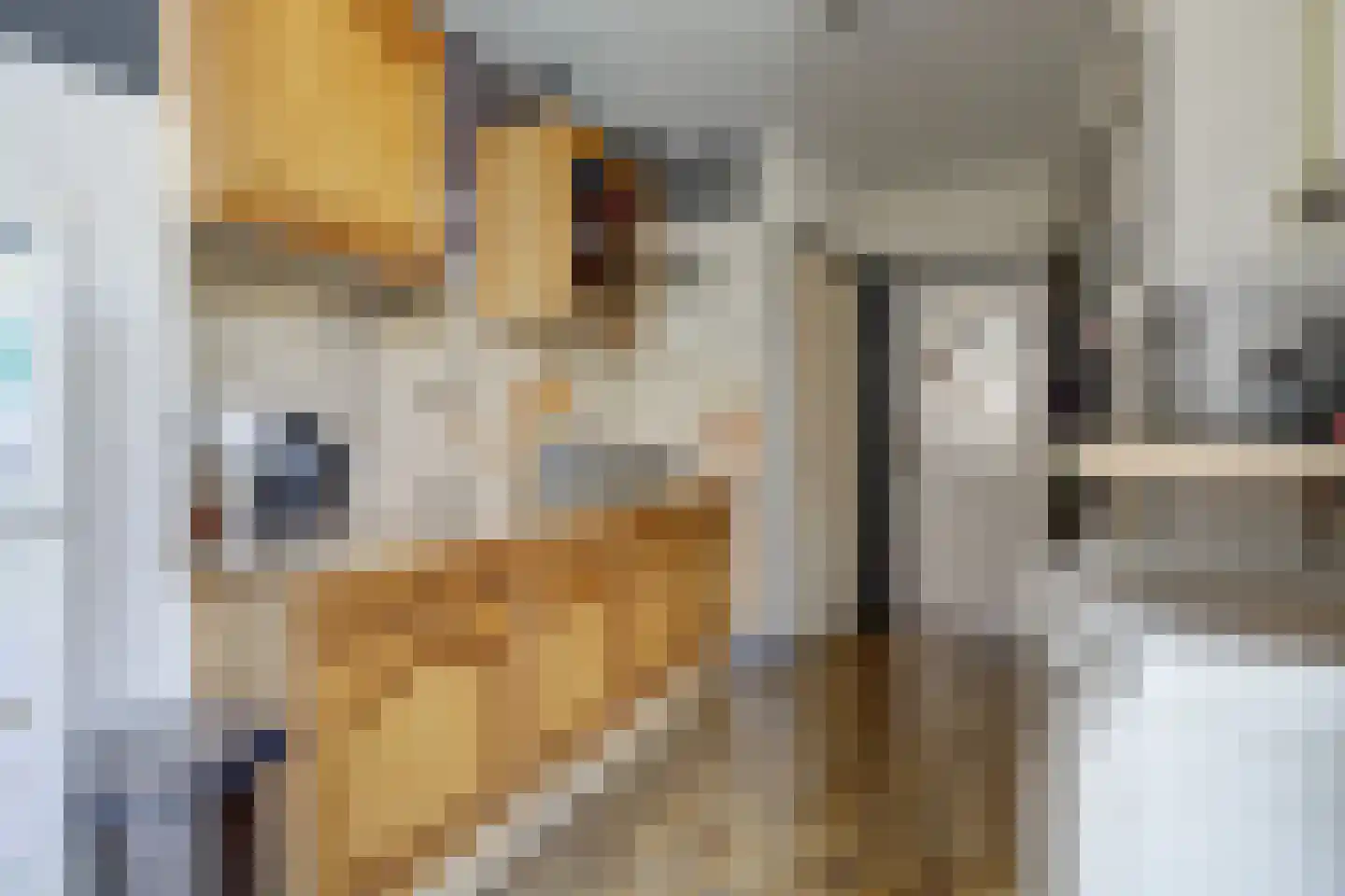 Bloklandweg 46 Noordscheschut thumbnail 13