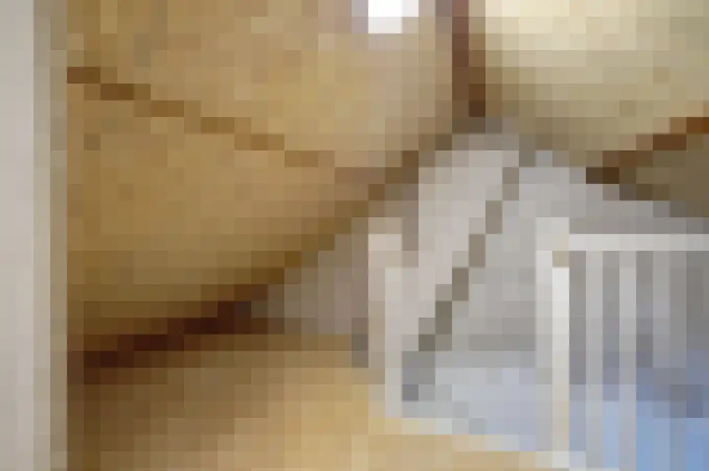 Bloklandweg 46 Noordscheschut thumbnail 31