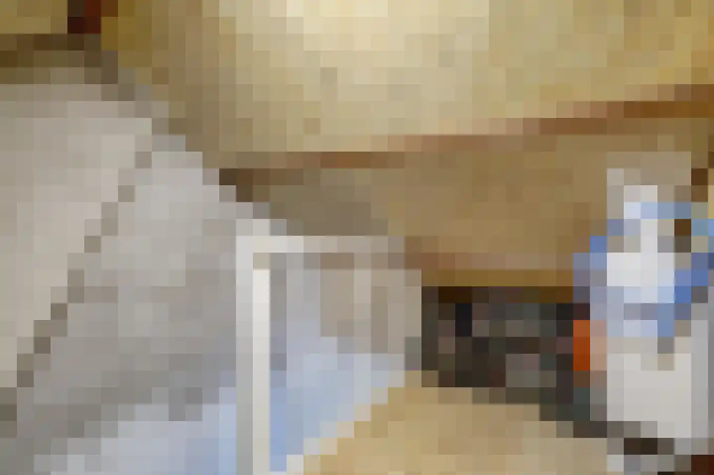 Bloklandweg 46 Noordscheschut thumbnail 32