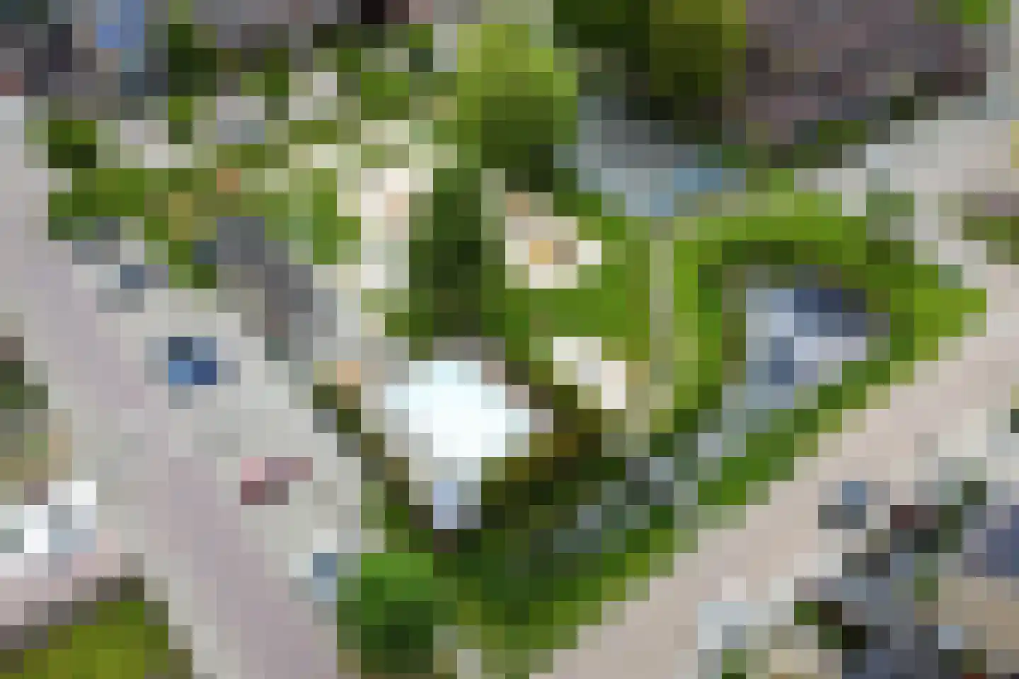 Bloklandweg 46 Noordscheschut thumbnail 49