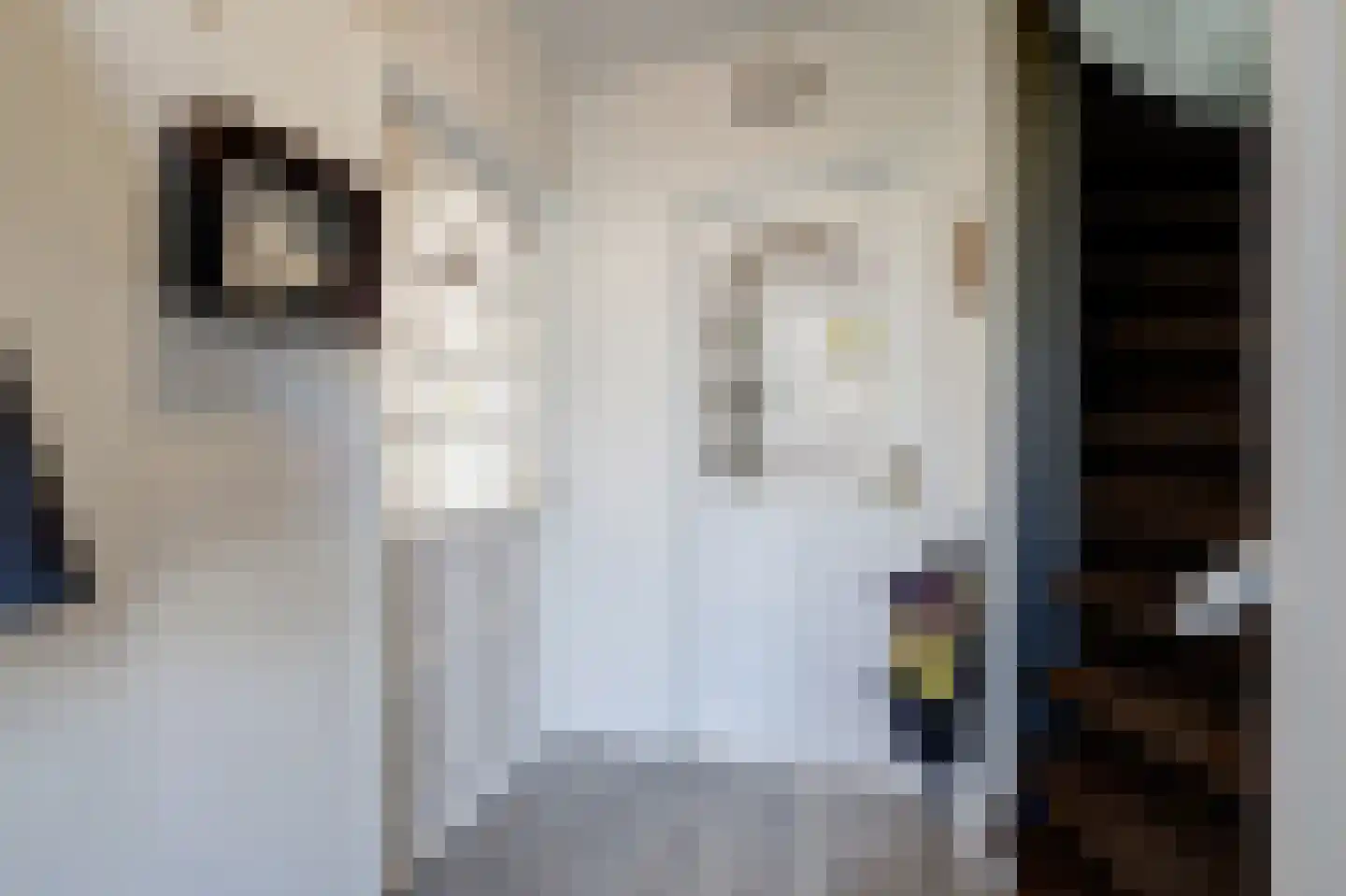 Bloklandweg 46 Noordscheschut thumbnail 6
