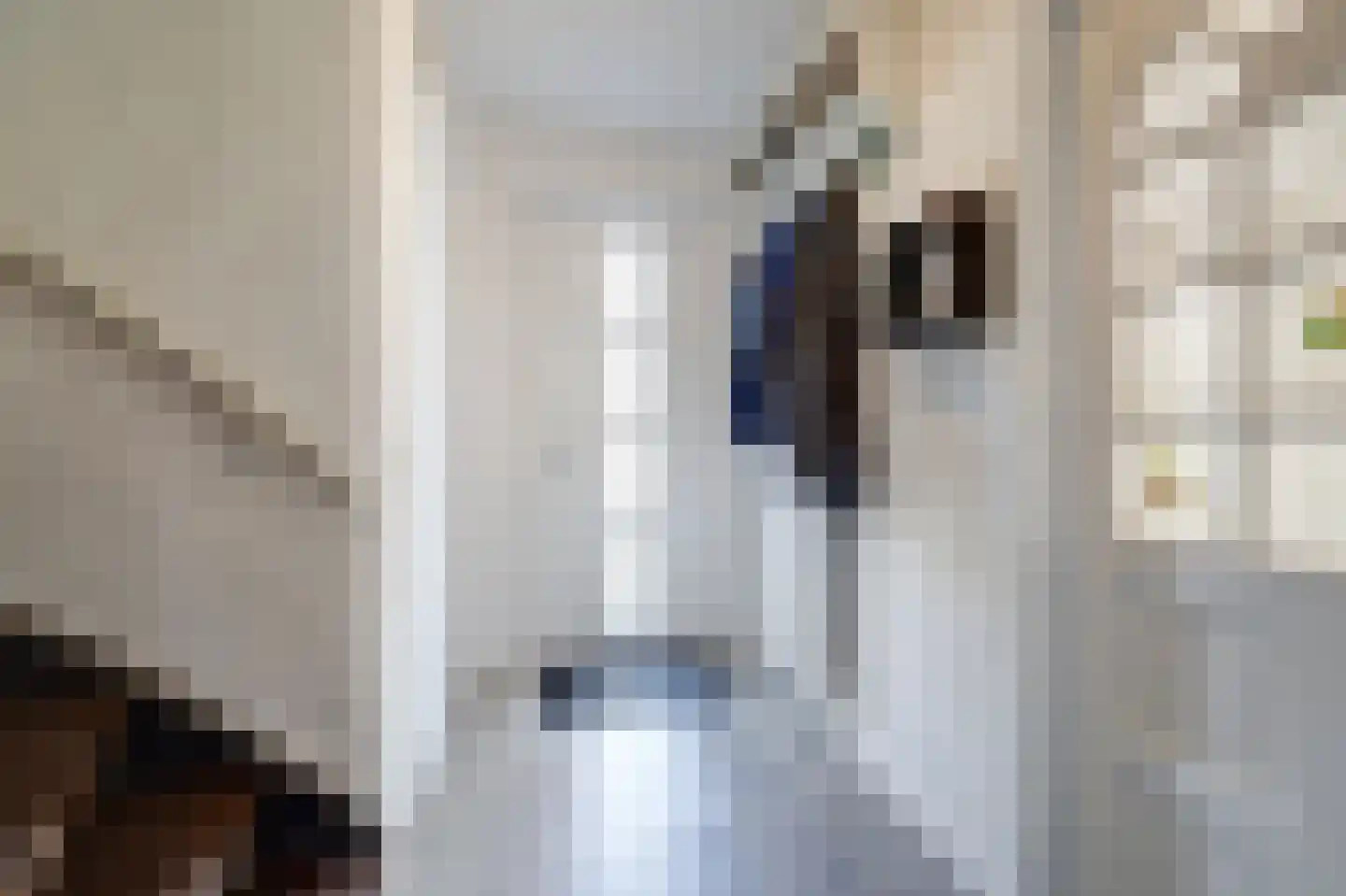 Bloklandweg 46 Noordscheschut thumbnail 7