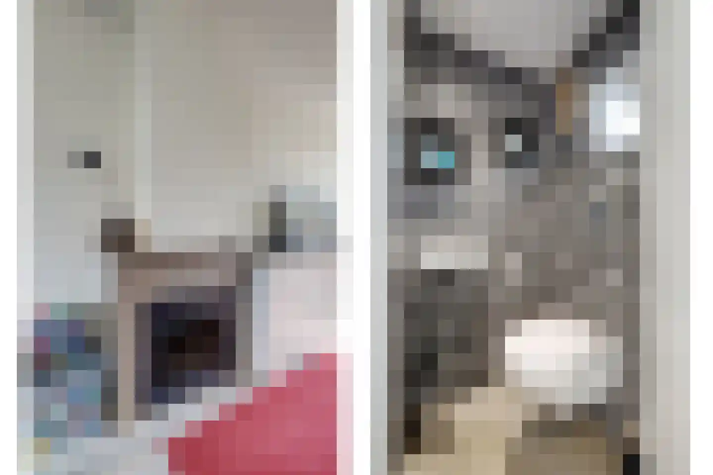 Bloklandweg 46 Noordscheschut thumbnail 8
