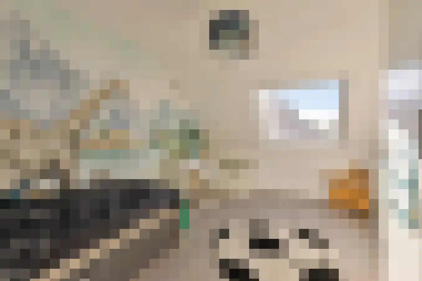 Blokpolder 4 's-Hertogenbosch thumbnail 17