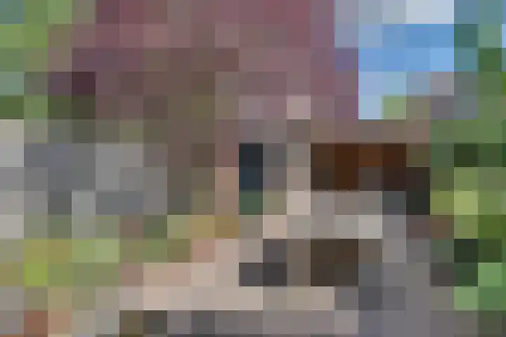 Blokpolder 45 's-Hertogenbosch thumbnail 18