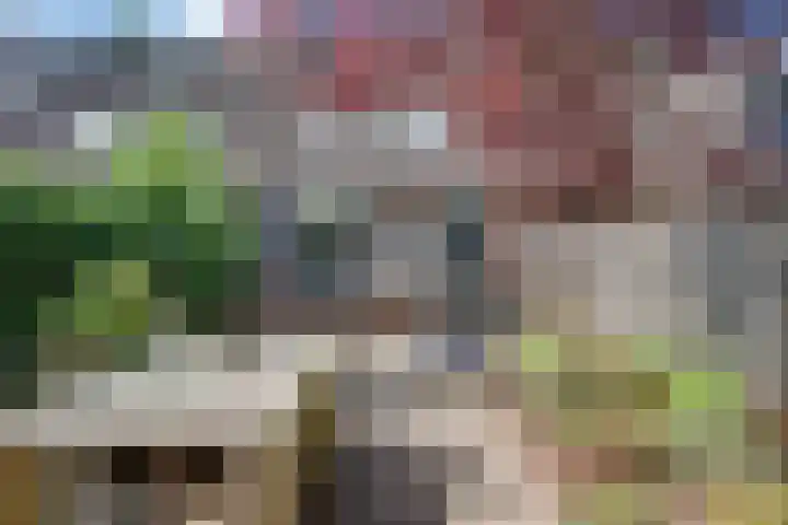 Blokpolder 45 's-Hertogenbosch thumbnail 20