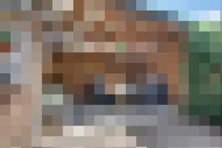 Blokpolder 45 's-Hertogenbosch thumbnail 21