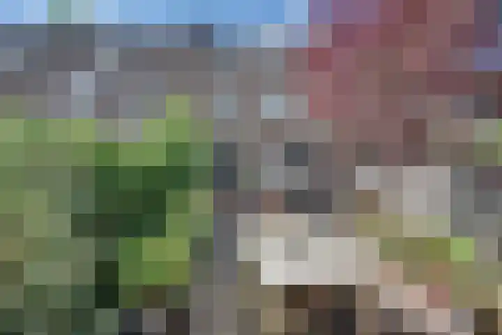 Blokpolder 45 's-Hertogenbosch thumbnail 22